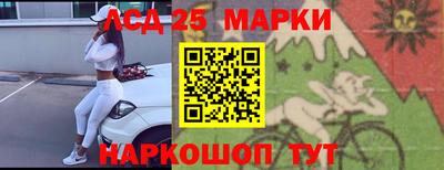 гашик Ставрополь